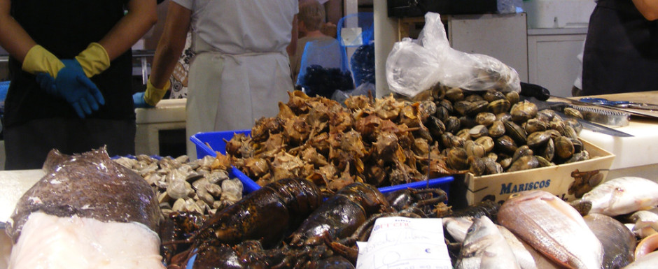 Fish and seafood in the Sant Feliu de Guixols market near our Costa Brava holiday rental