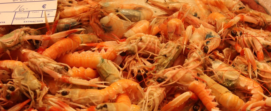 What to eat in Sant Feliu de Guixols - fish